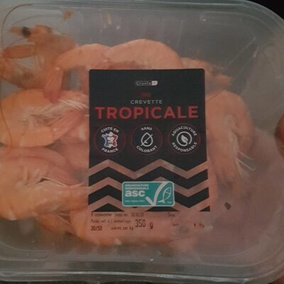 crevette tropicale