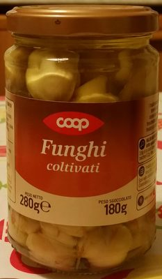 FUNGHI COLTIVATI