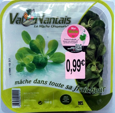 Mâche